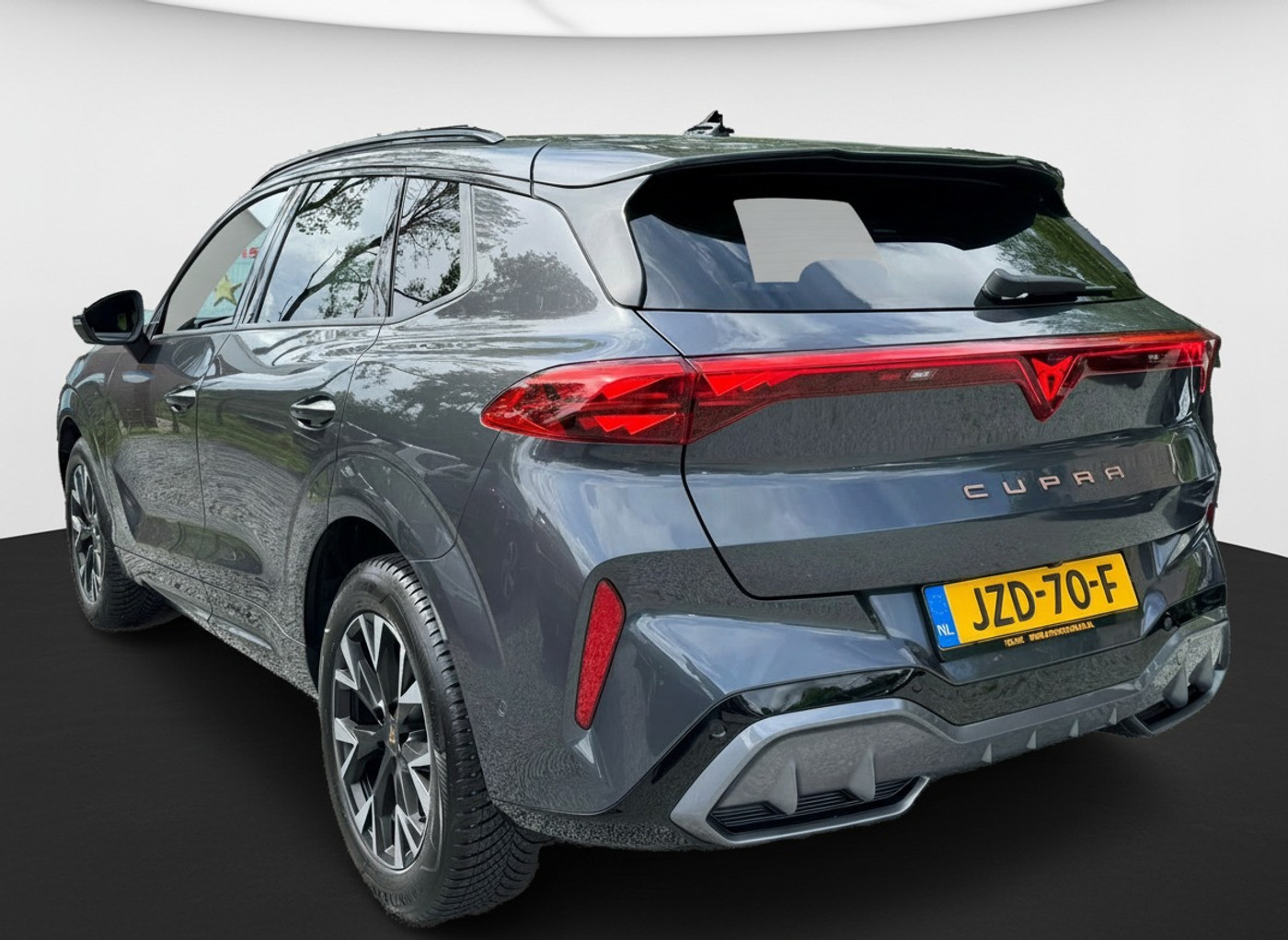 Foto van Cupra Terramar