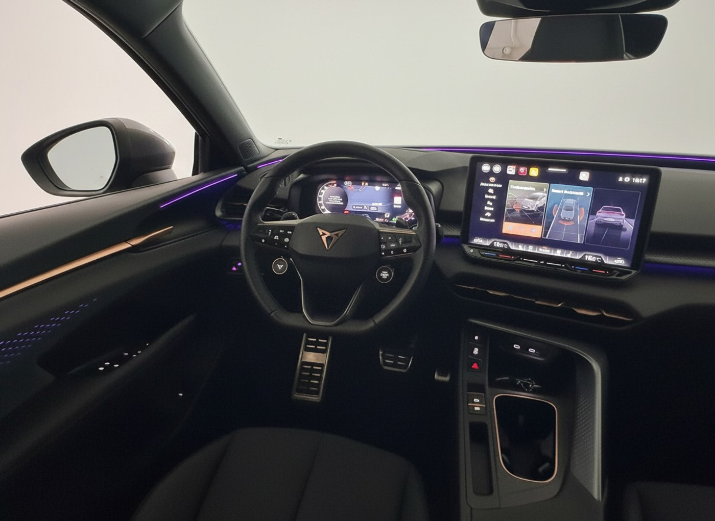 Foto van Cupra Terramar