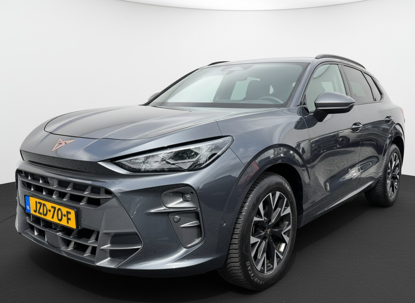 Foto van Cupra Terramar