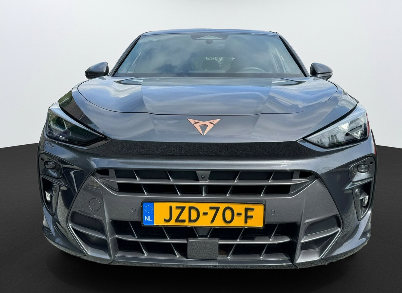 Foto van Cupra Terramar