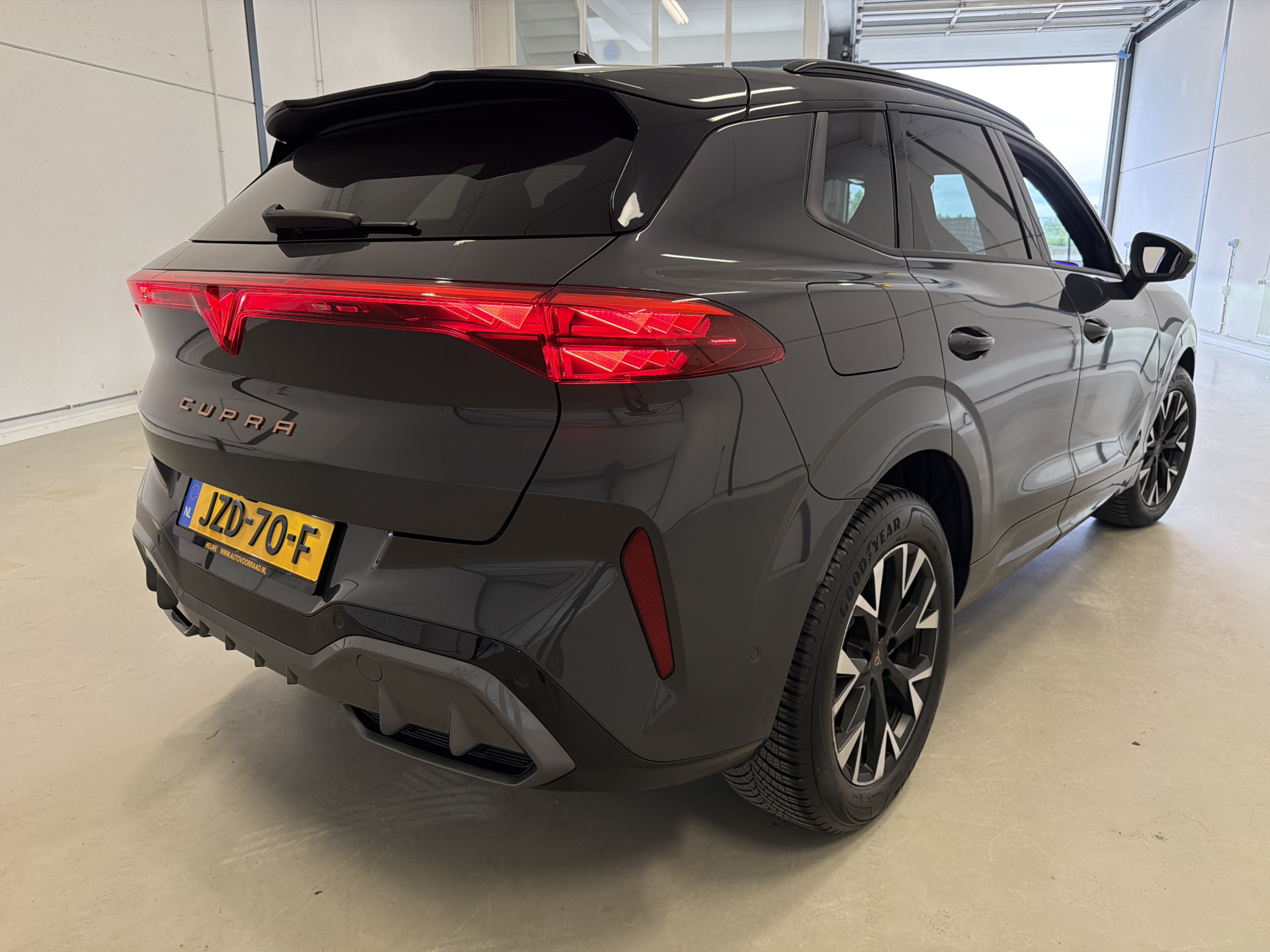 Foto van Cupra Terramar