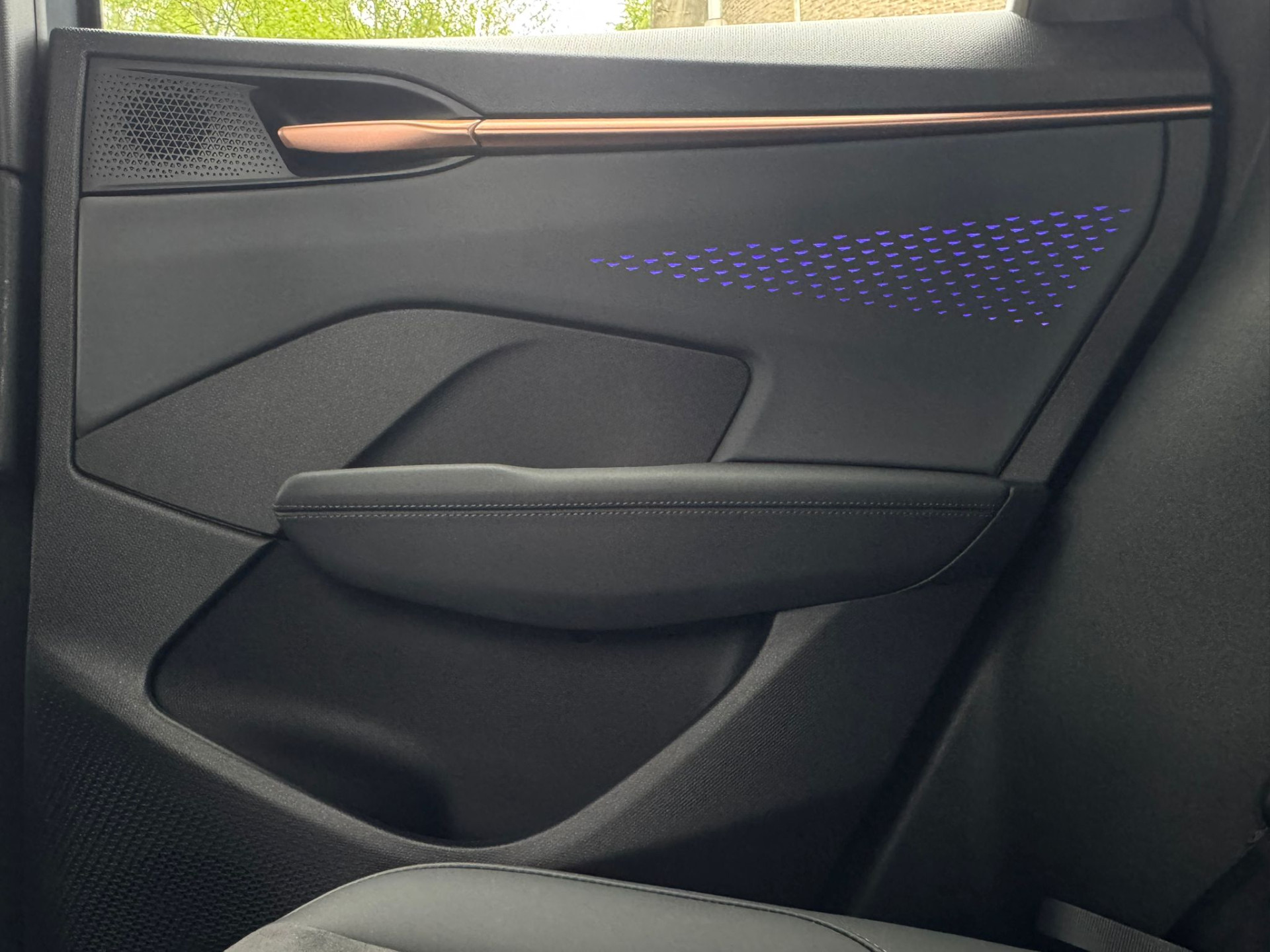 Foto van Cupra Terramar