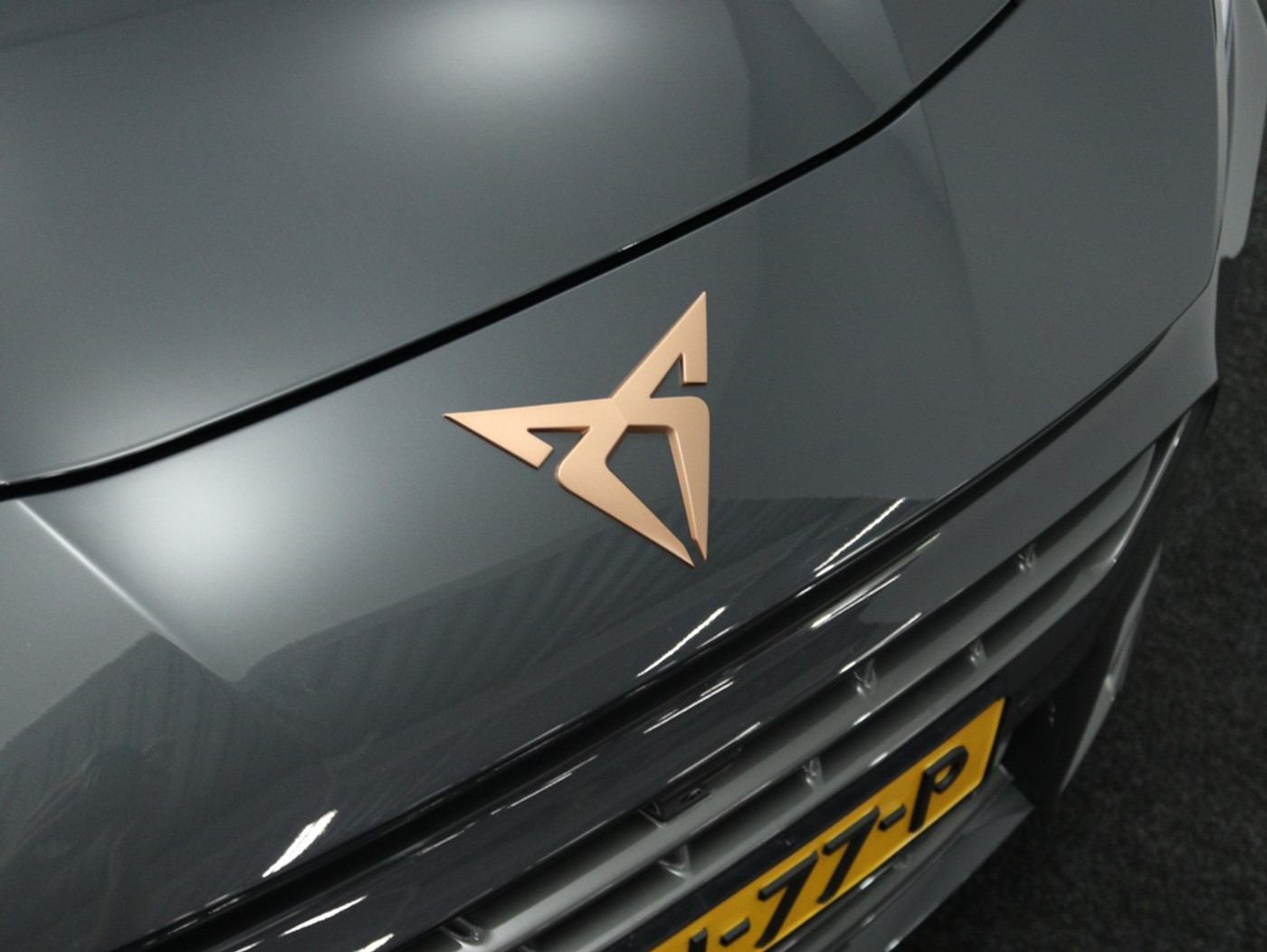 Foto van Cupra Terramar E-hybrid