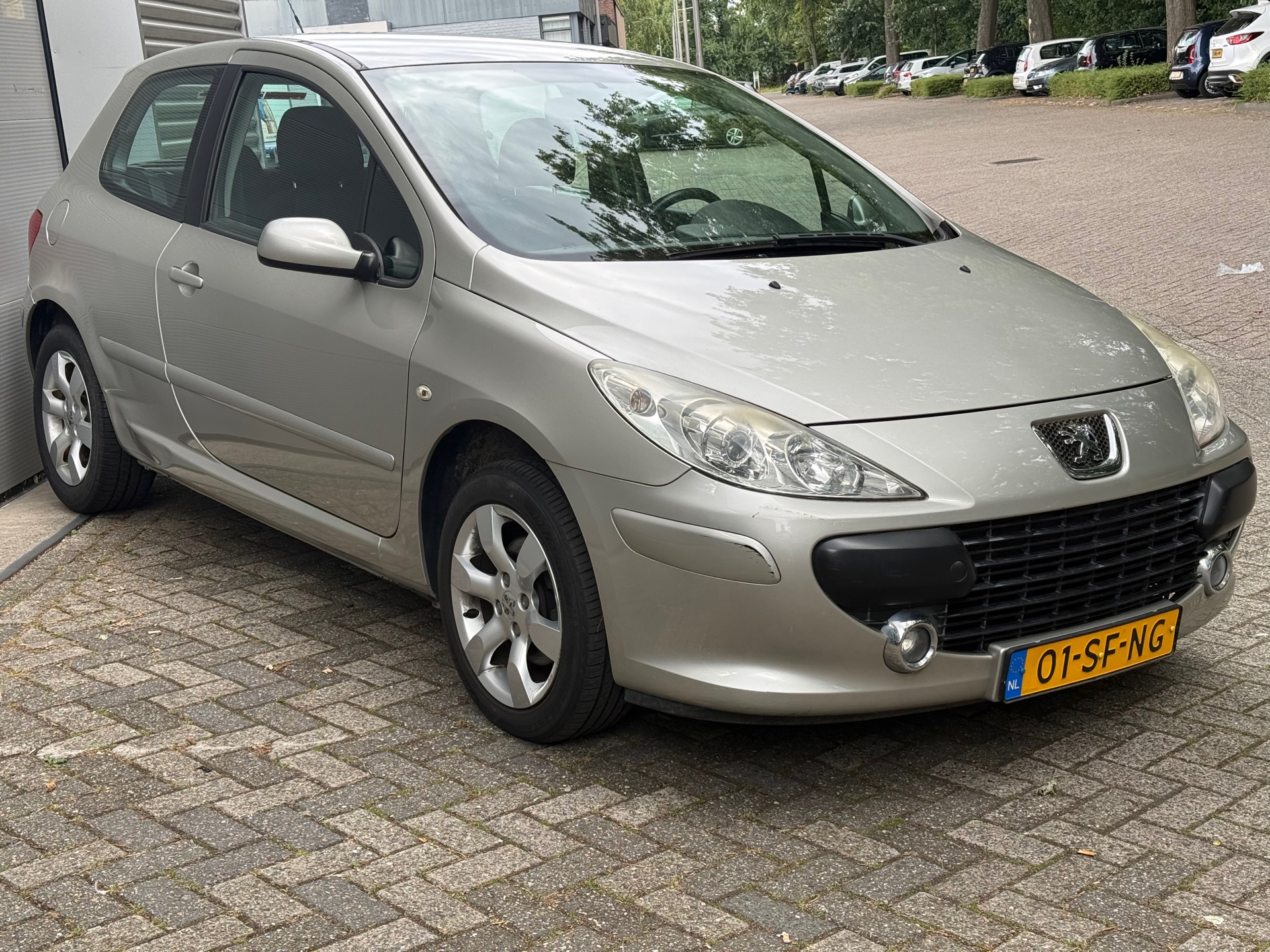 Foto van Peugeot 307