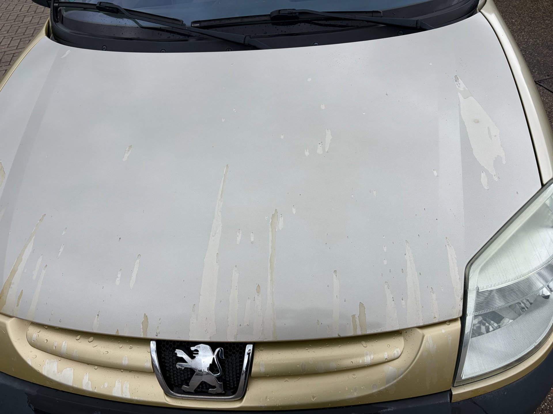 Foto van Peugeot Partner