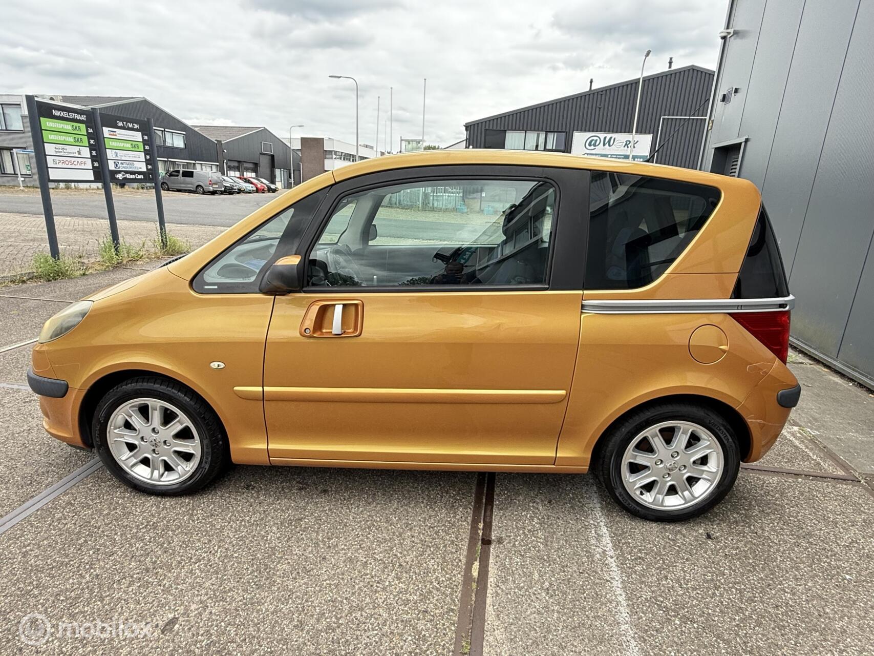 Foto van Peugeot 1007