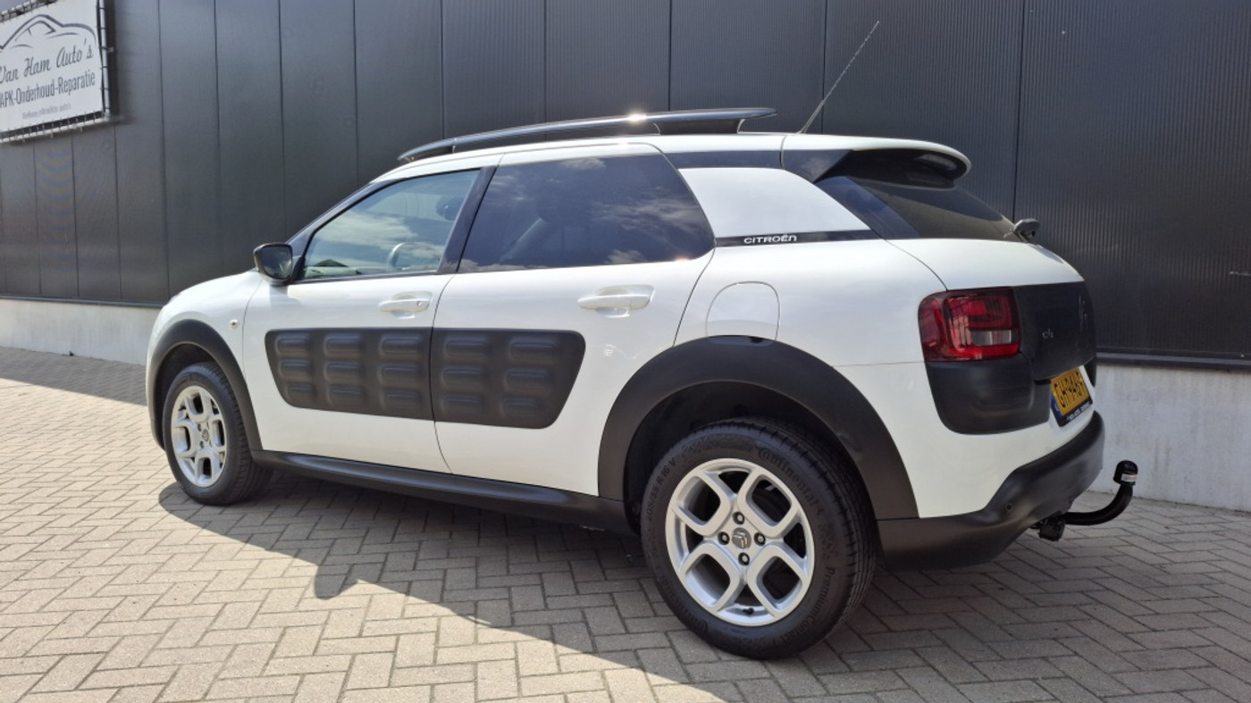 Foto van Citroen C4 Cactus