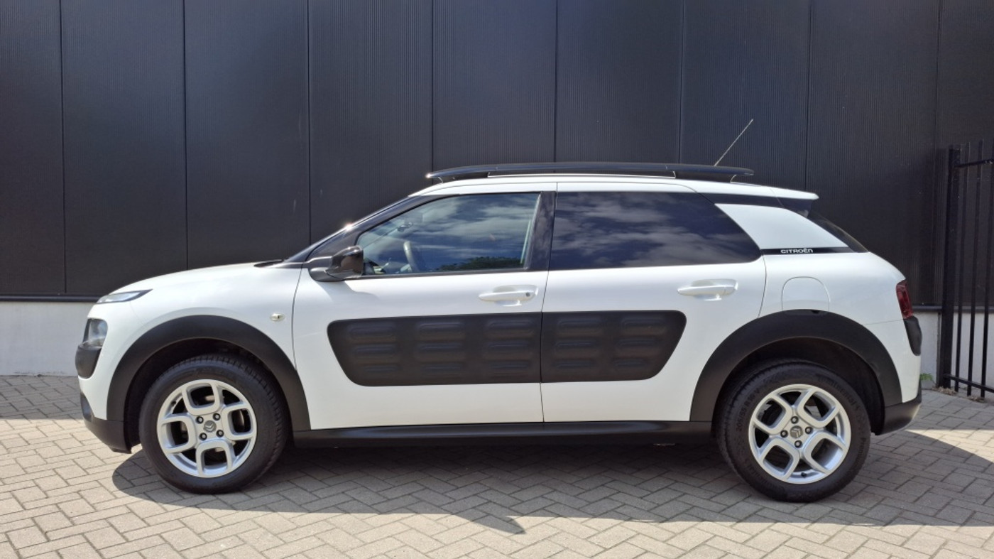 Foto van Citroen C4 Cactus