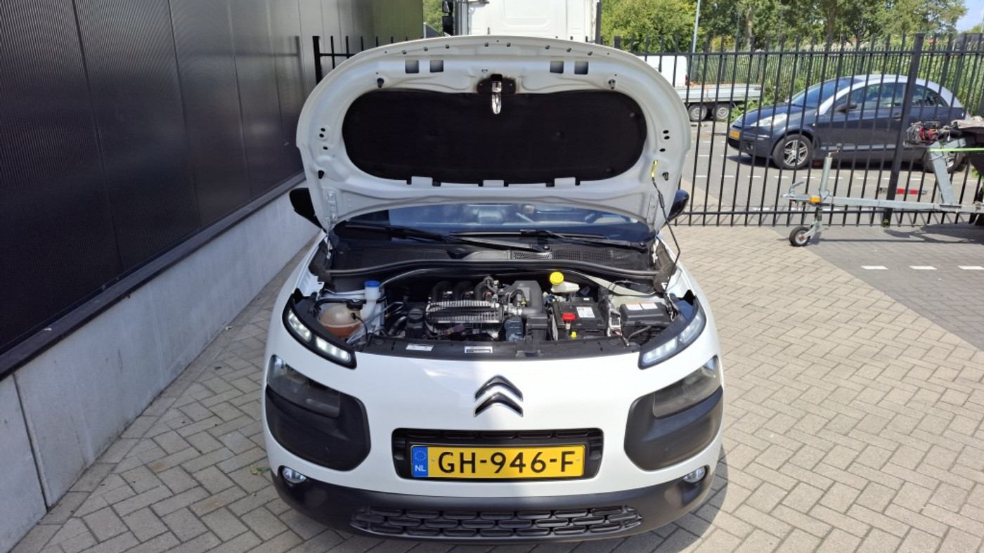 Foto van Citroen C4 Cactus