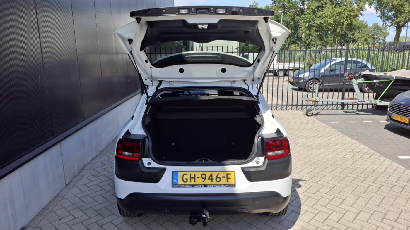 Foto van Citroen C4 Cactus