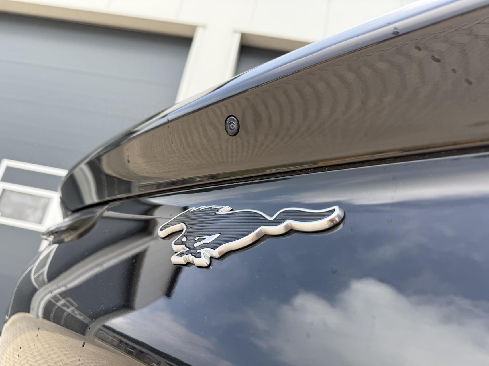 Foto van Ford Mustang Mach-e