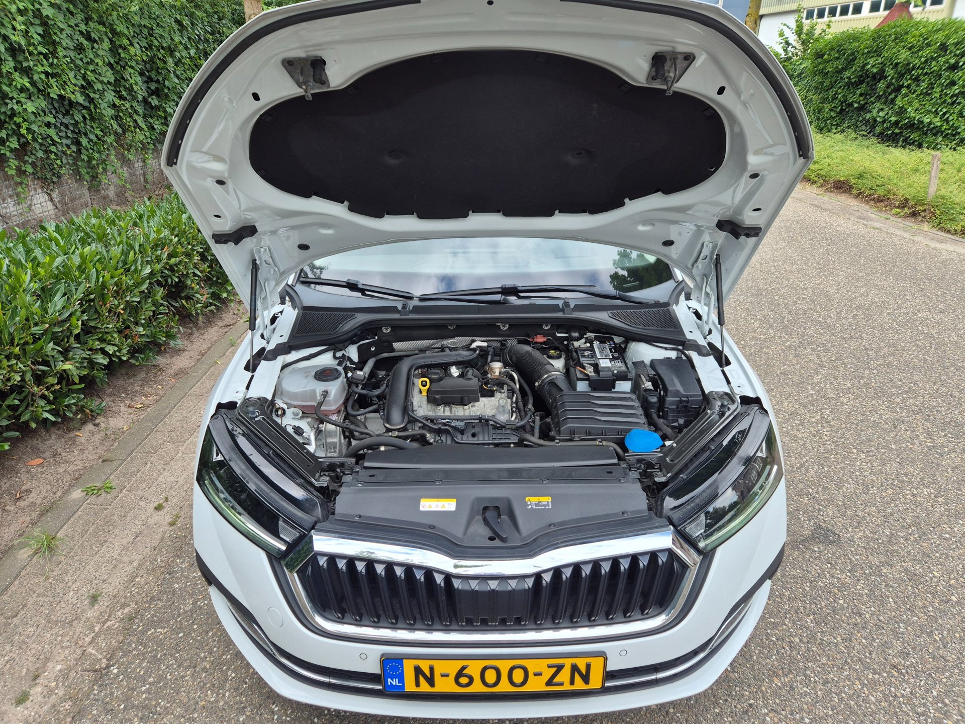 Foto van Skoda Octavia