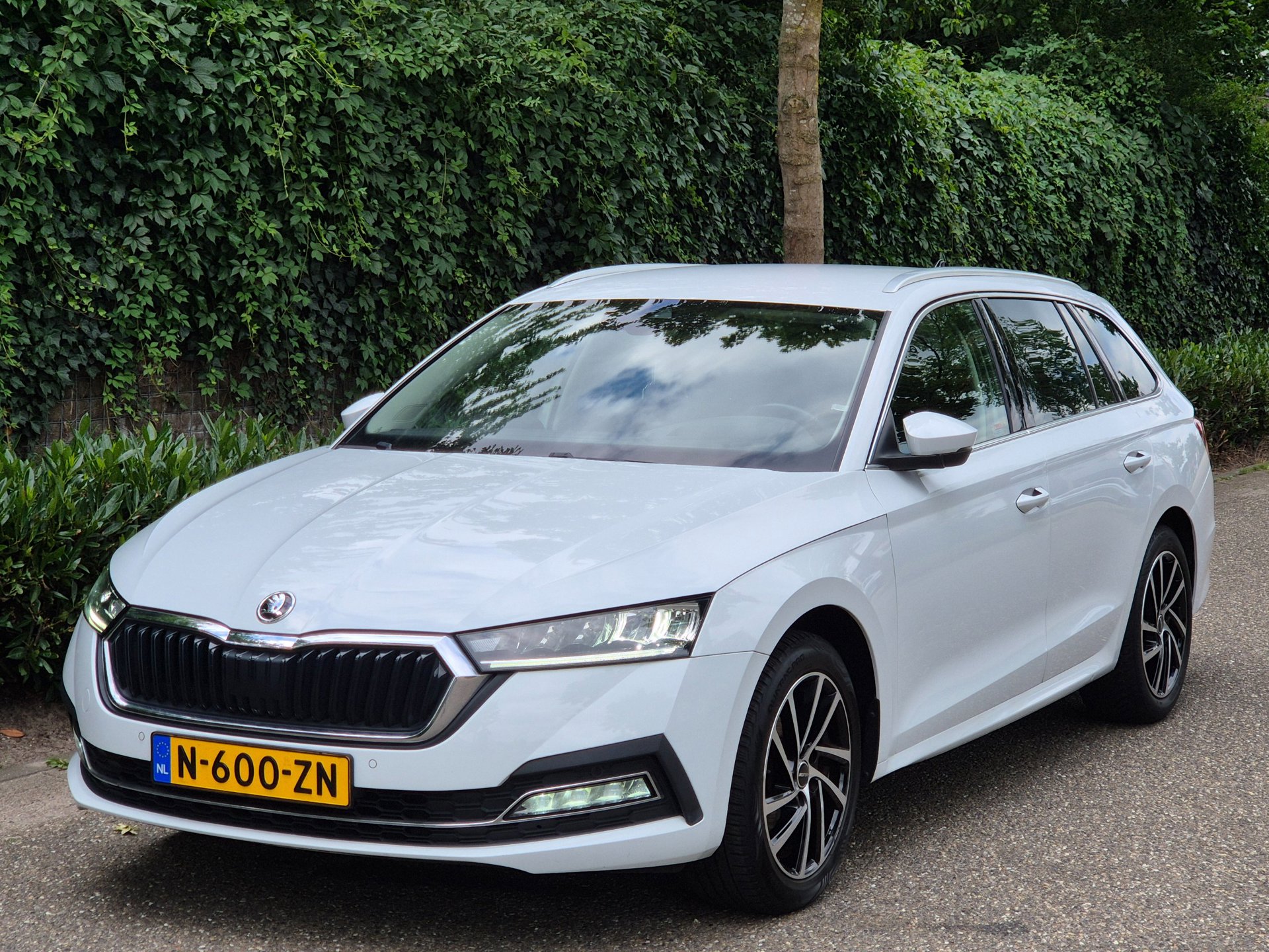 Foto van Skoda Octavia