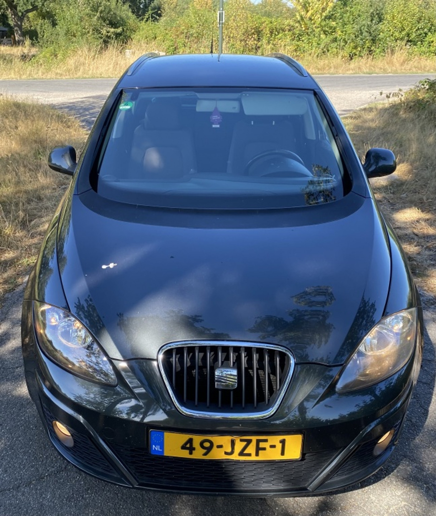 Foto van Seat Altea XL