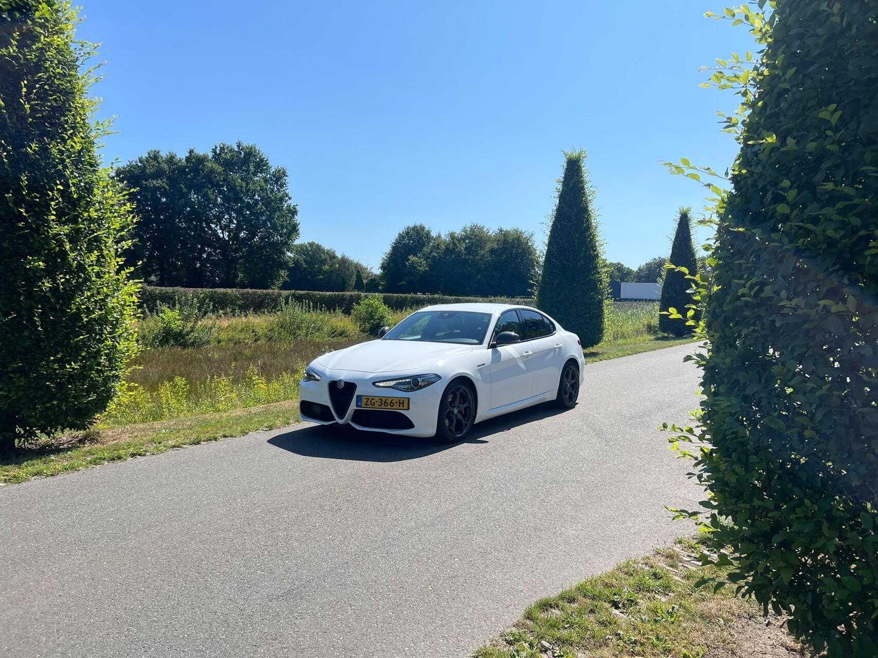 Foto van Alfa Romeo Giulia