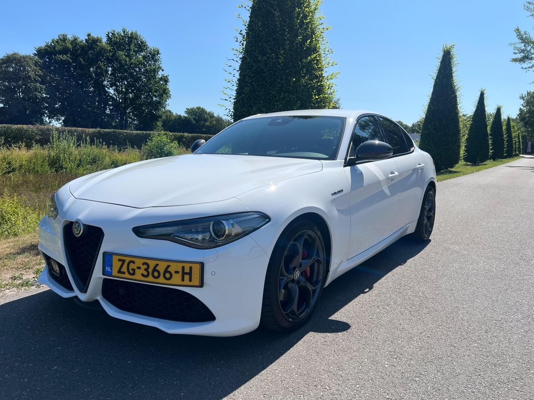 Foto van Alfa Romeo Giulia