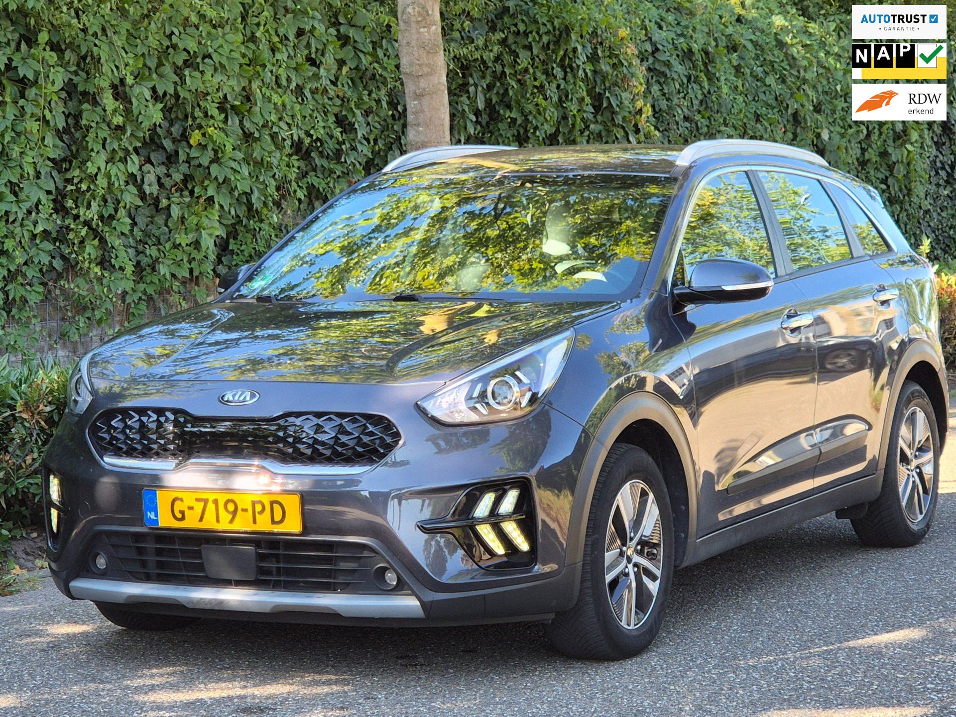 Kia Niro 1.6 GDi Hybrid ExecutiveLine 2019 - voorkant