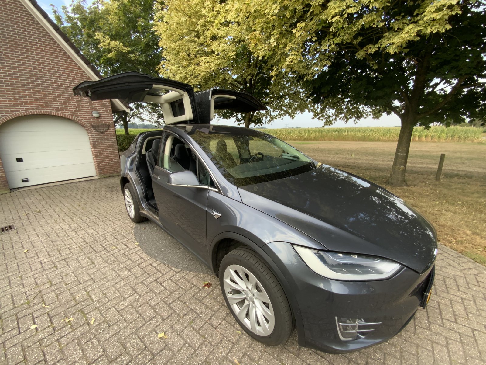 Inspectiefoto van Tesla Model X