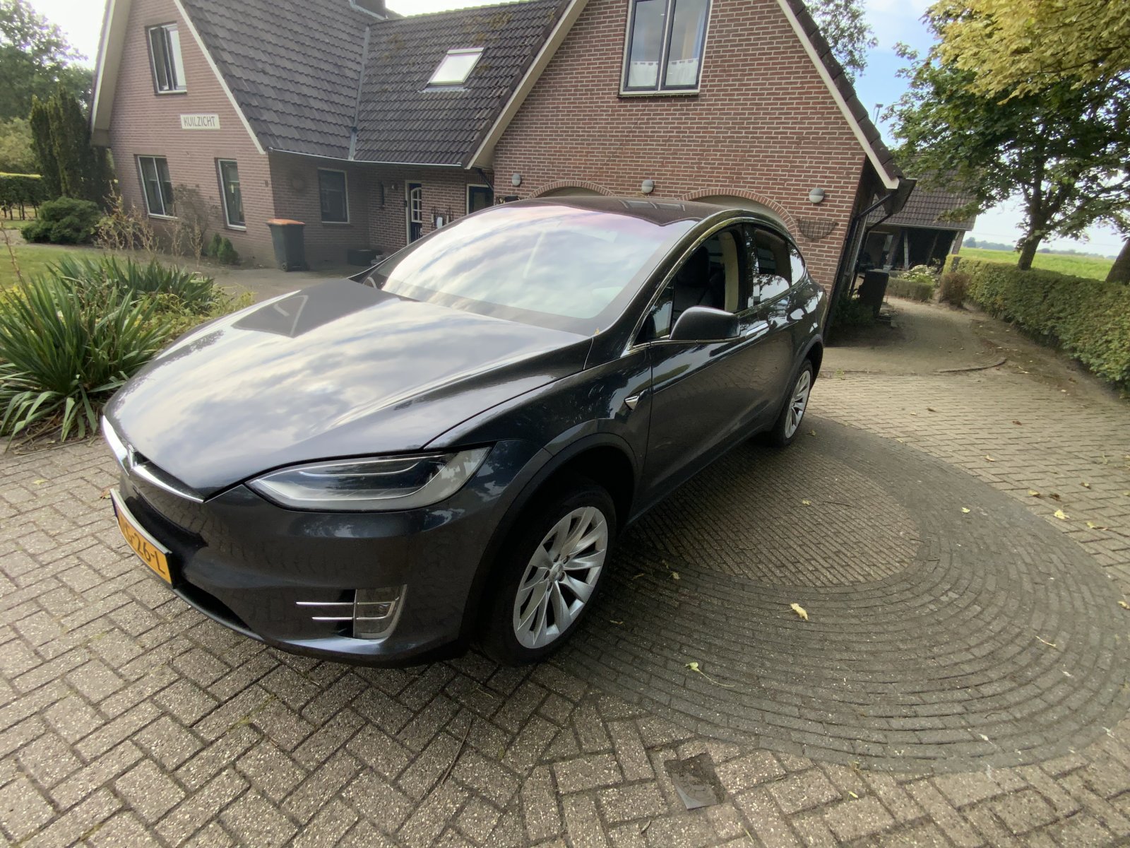 Inspectiefoto van Tesla Model X
