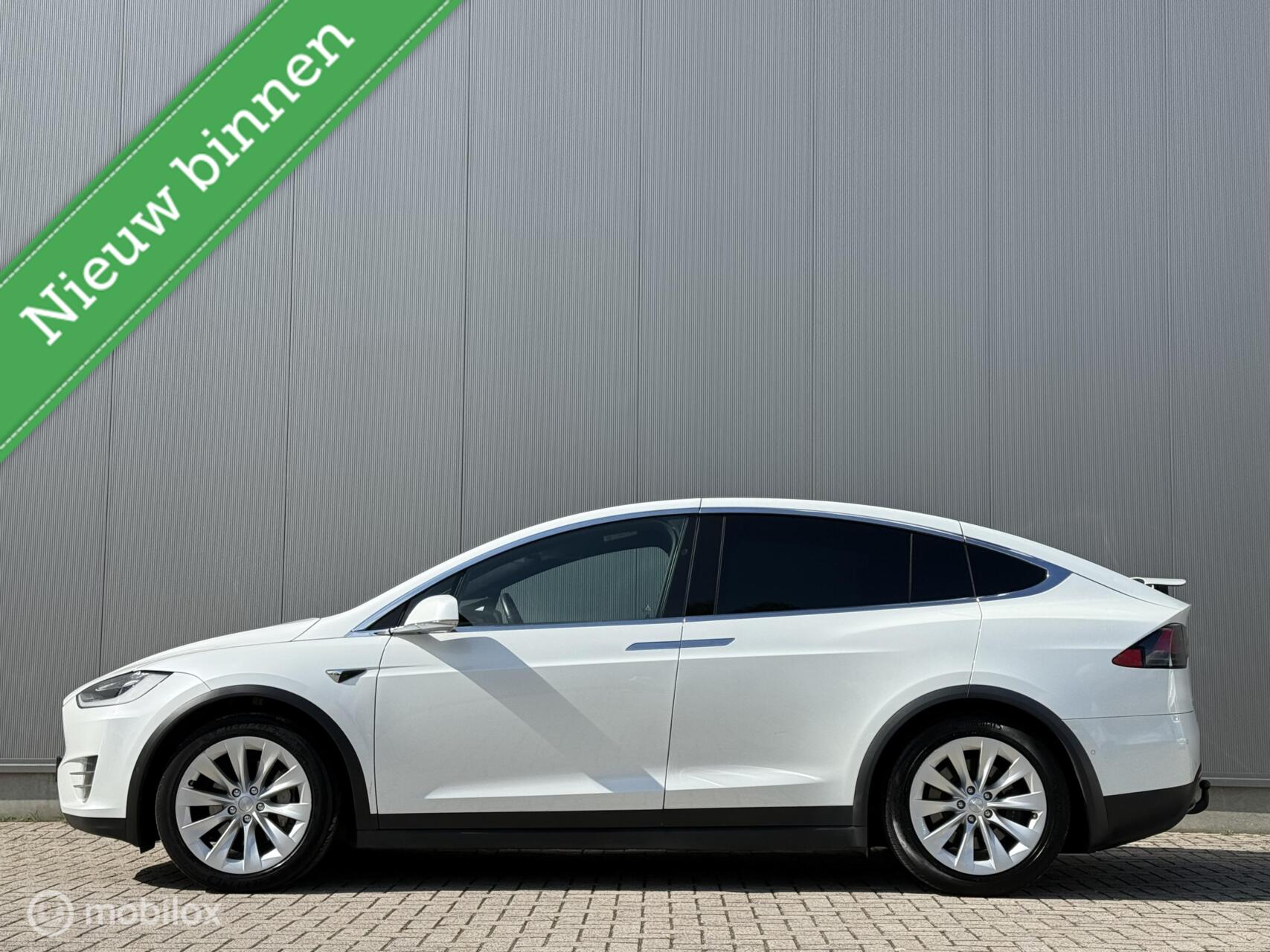 Foto van Tesla Model X