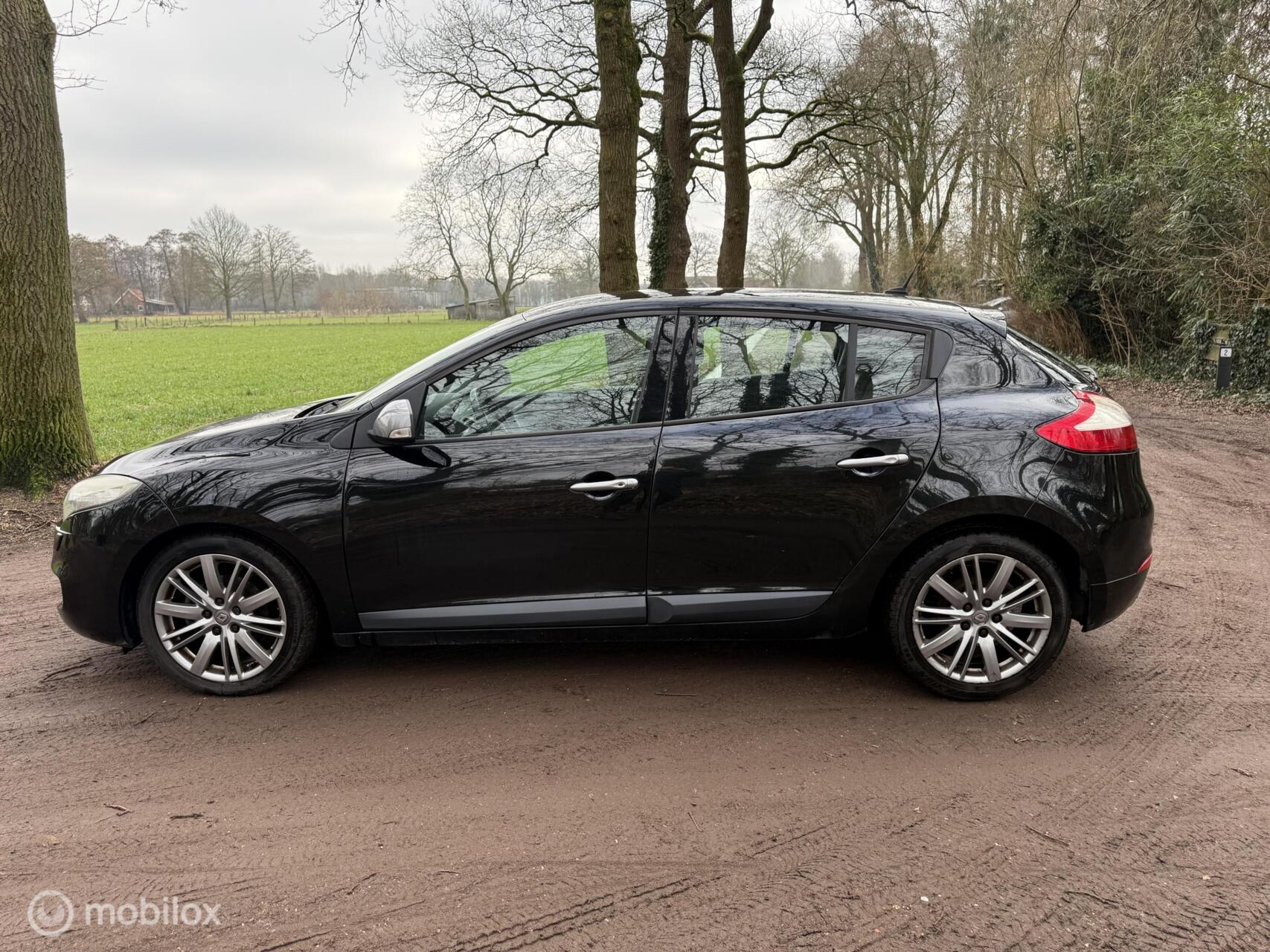 Foto van Renault Megane