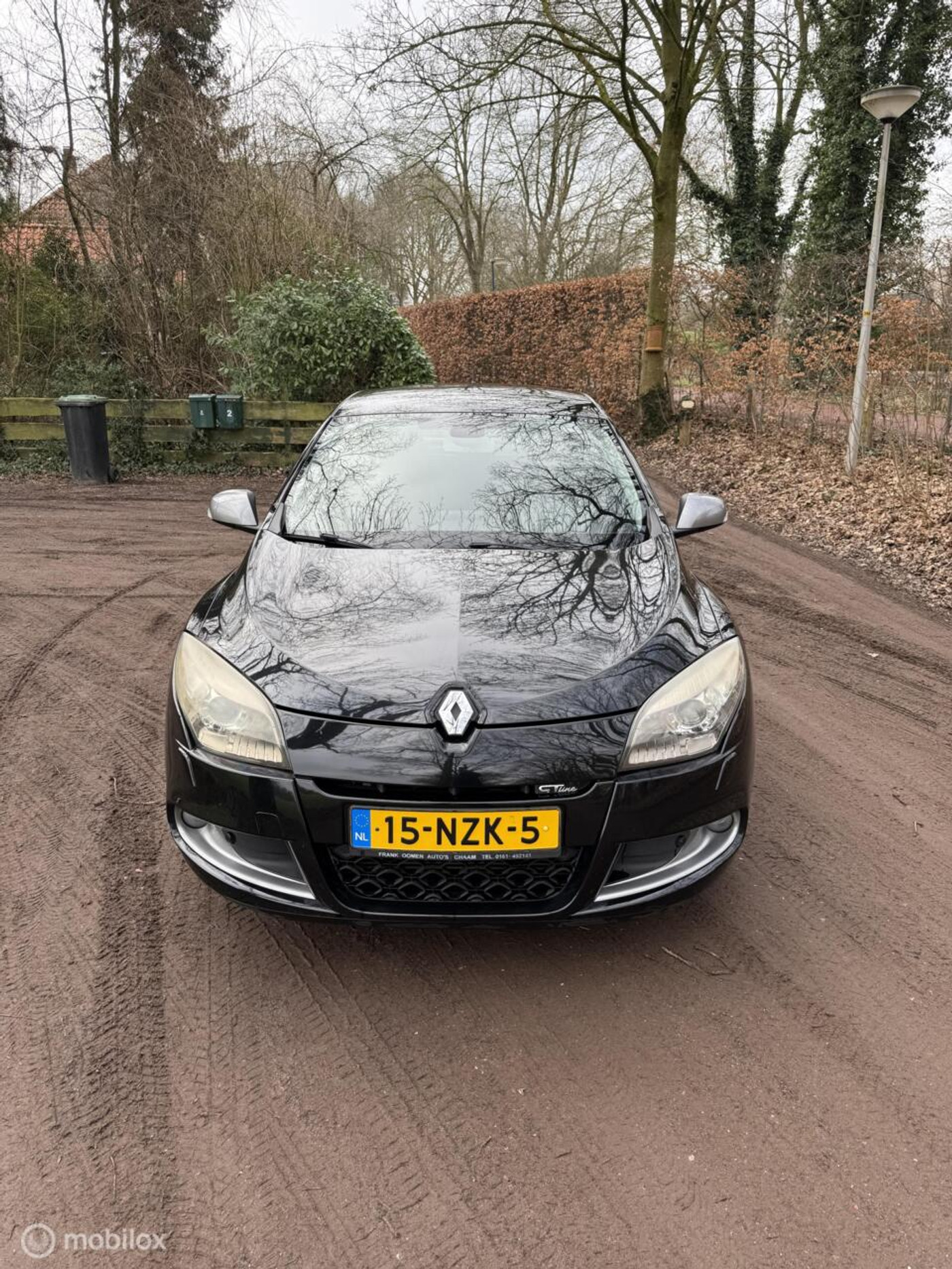 Foto van Renault Megane