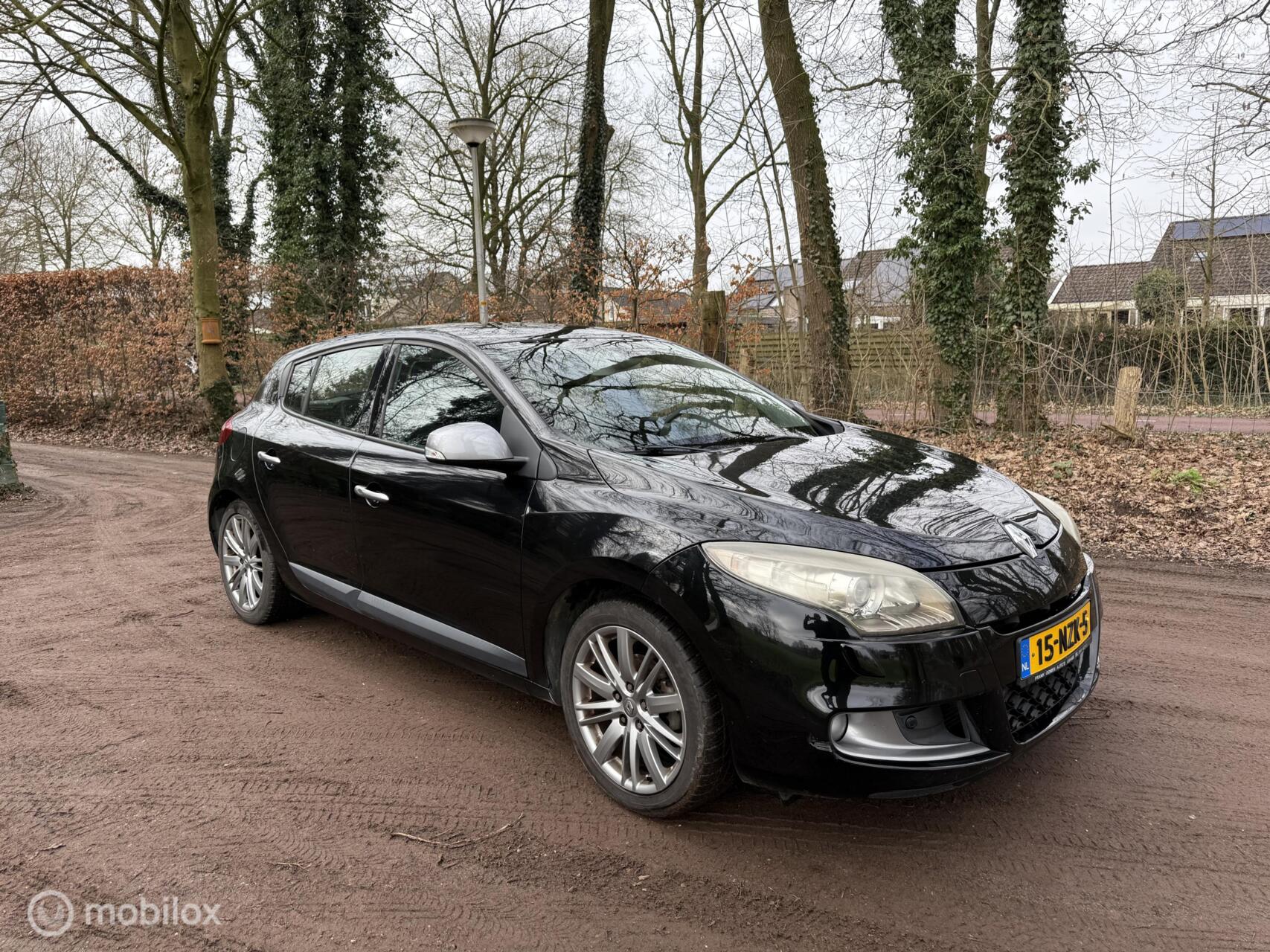 Foto van Renault Megane