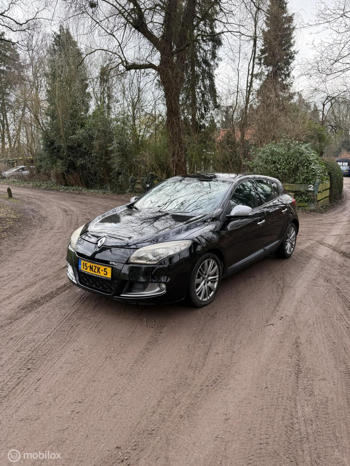 Foto van Renault Megane
