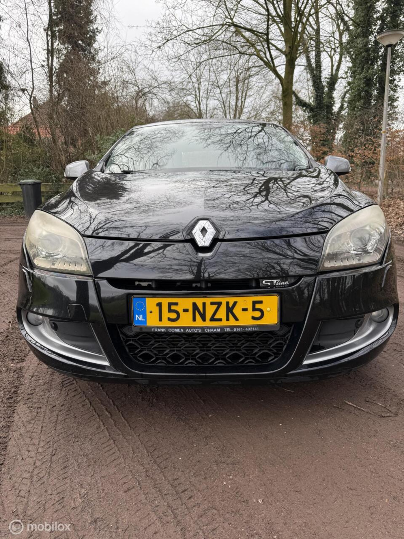 Foto van Renault Megane