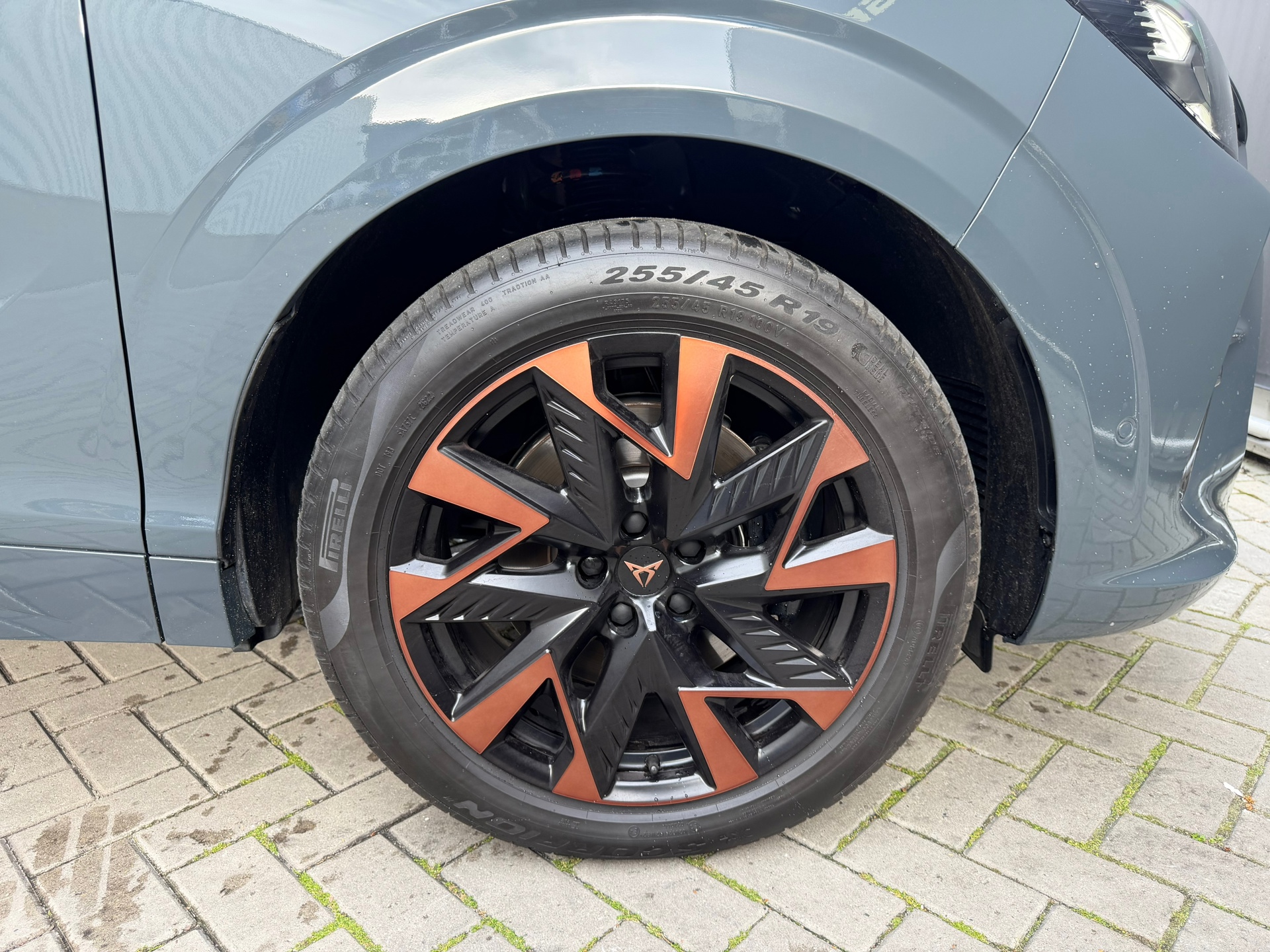Foto van Cupra Terramar