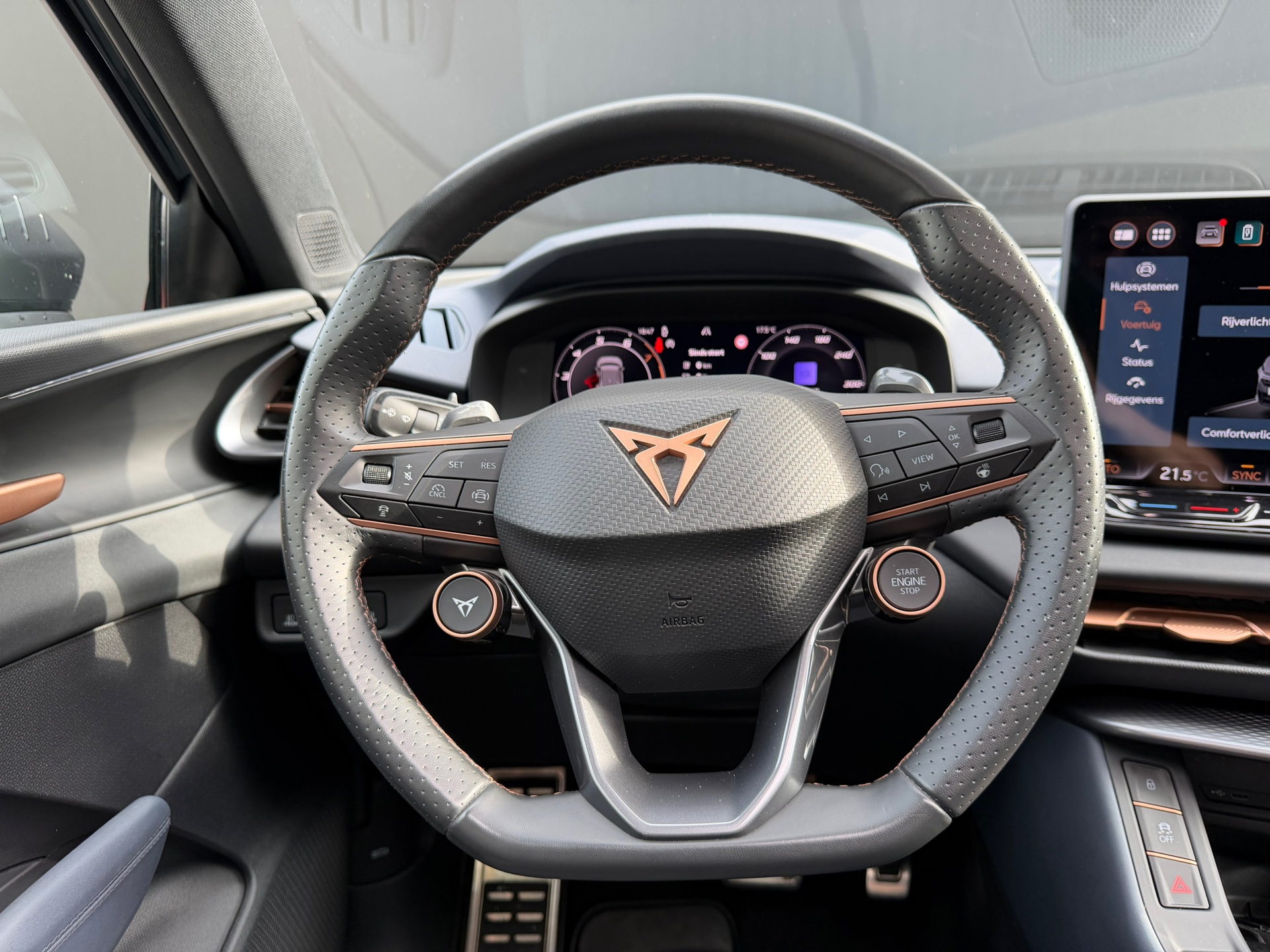 Foto van Cupra Terramar