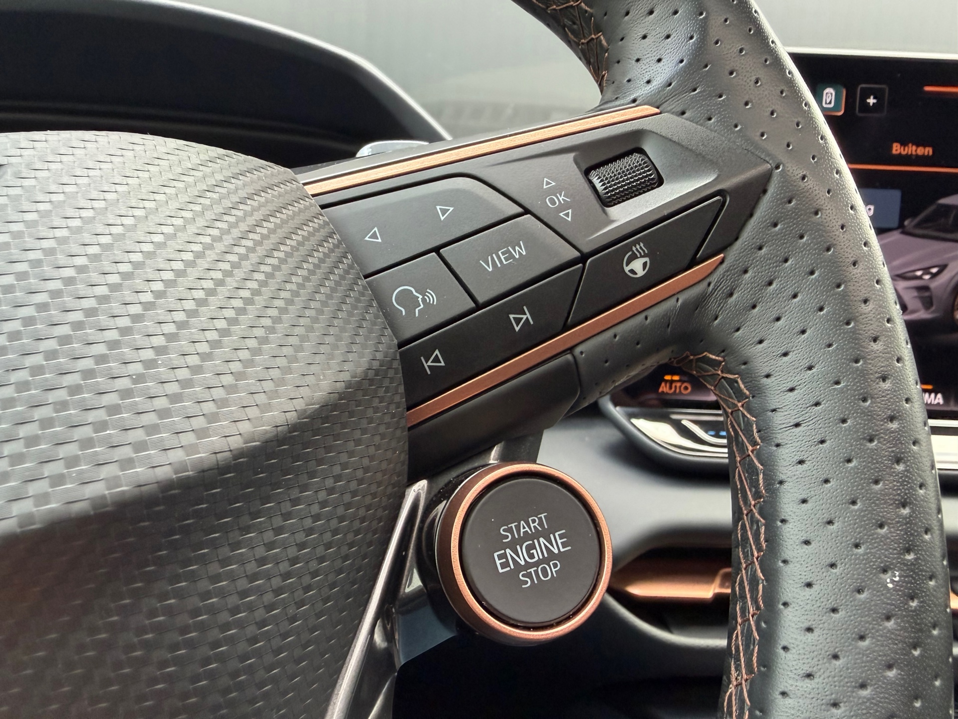 Foto van Cupra Terramar