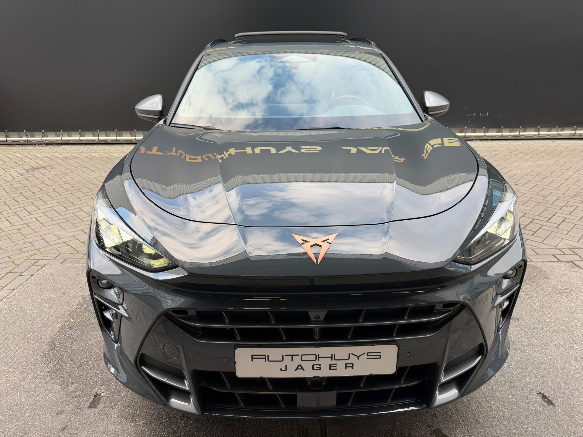 Foto van Cupra Terramar