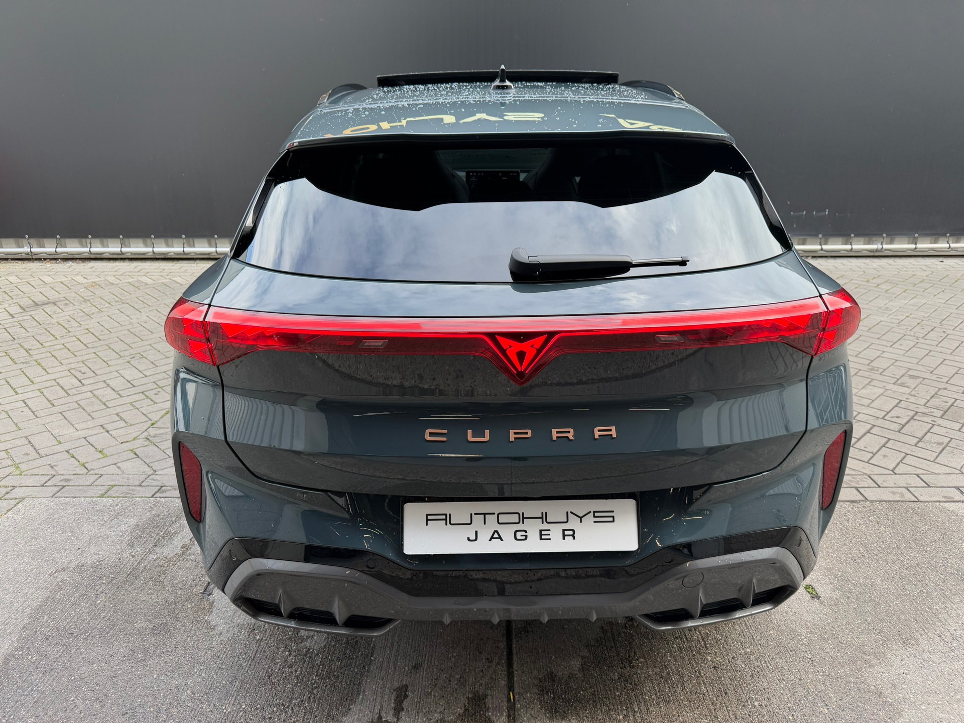 Foto van Cupra Terramar