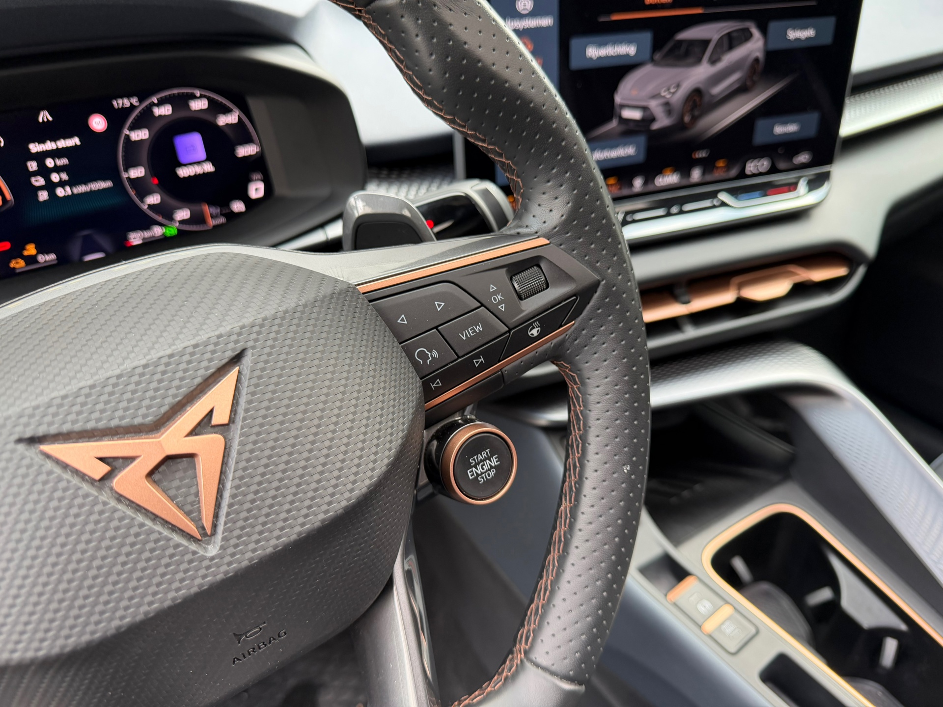 Foto van Cupra Terramar