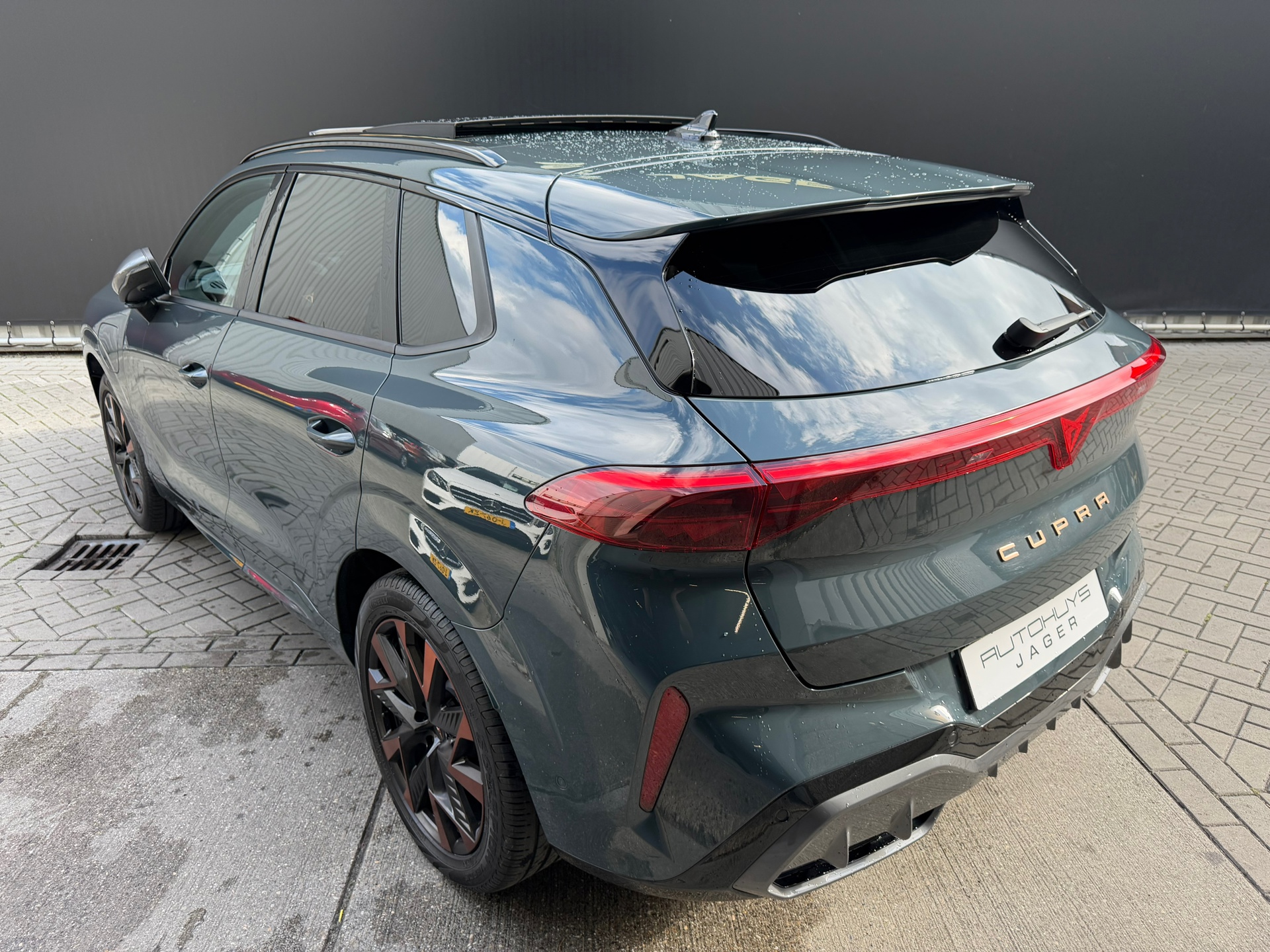 Foto van Cupra Terramar