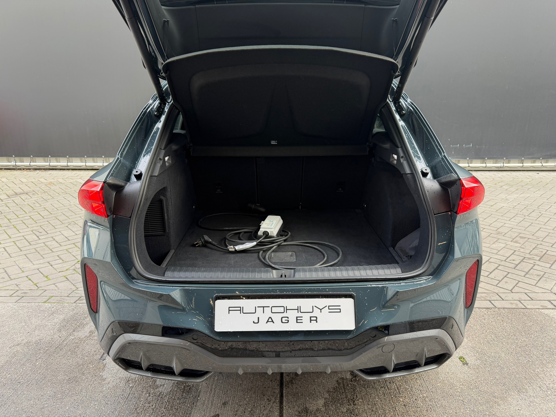 Foto van Cupra Terramar