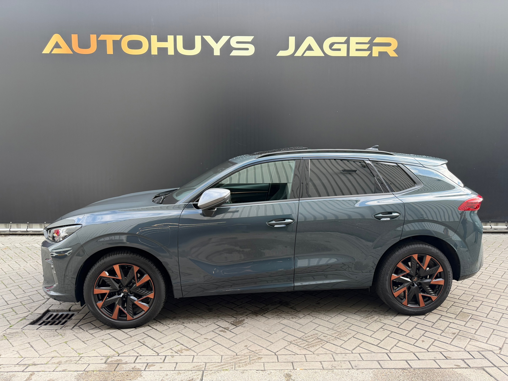 Foto van Cupra Terramar