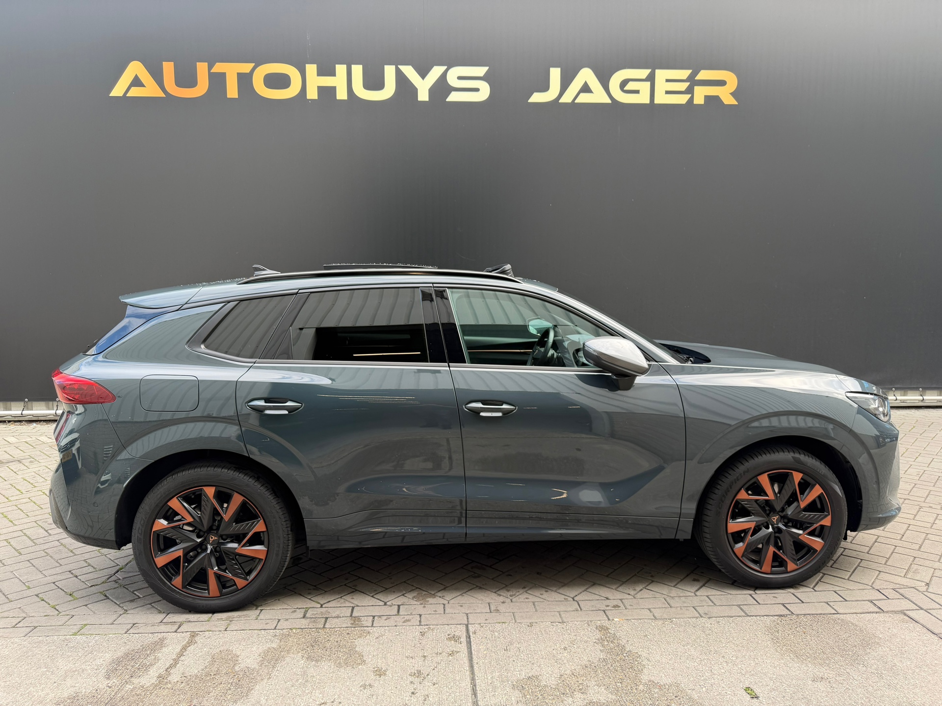 Foto van Cupra Terramar