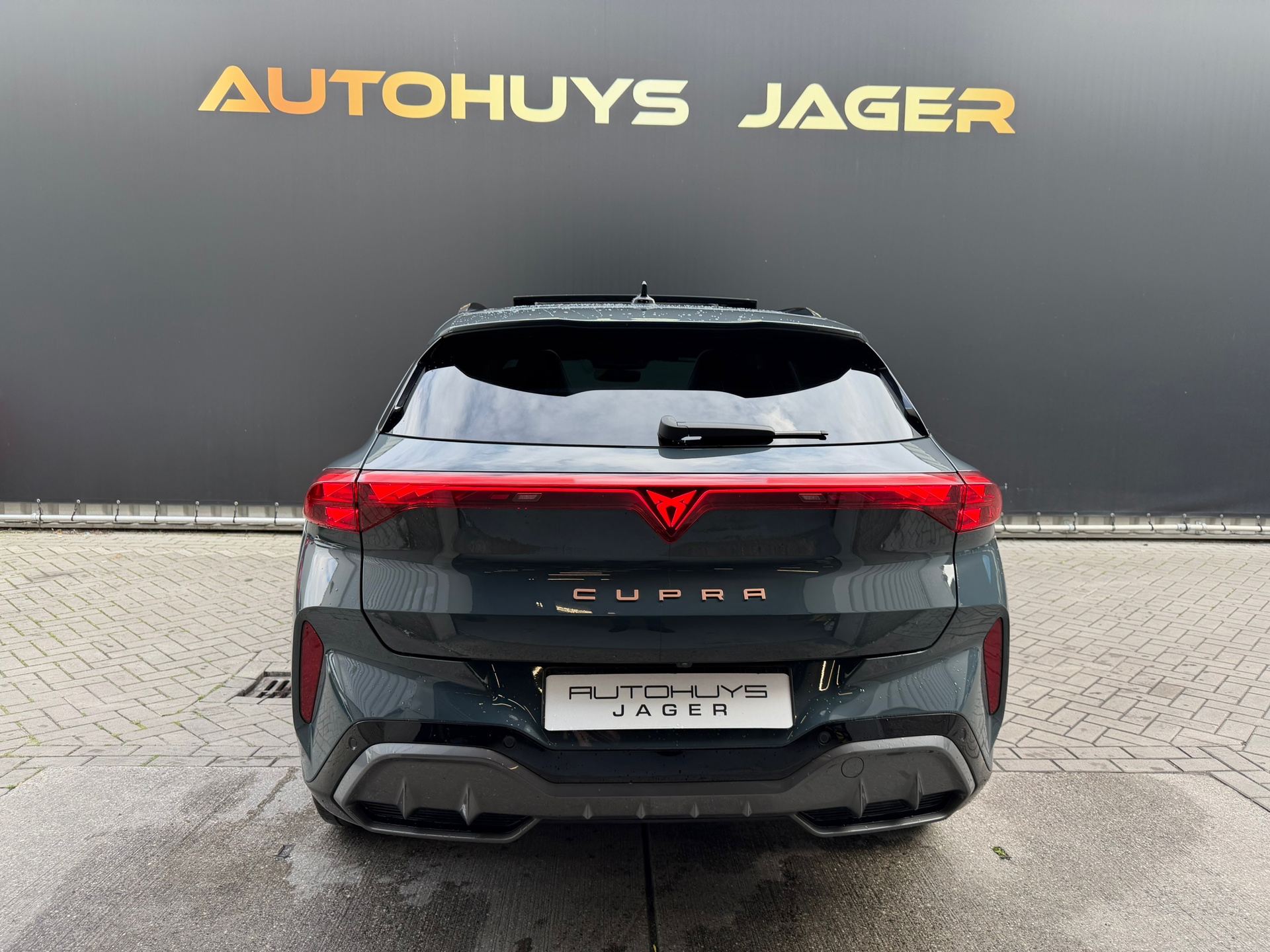 Foto van Cupra Terramar