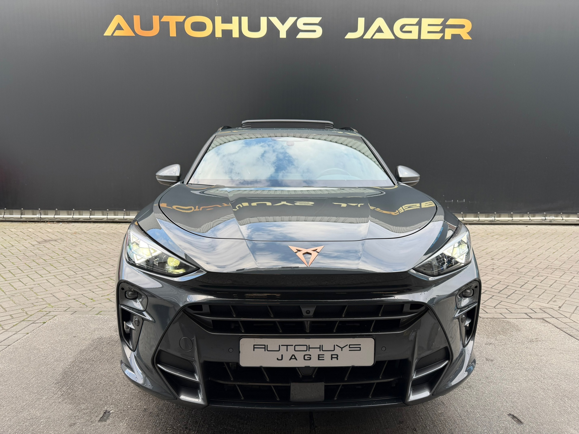 Foto van Cupra Terramar