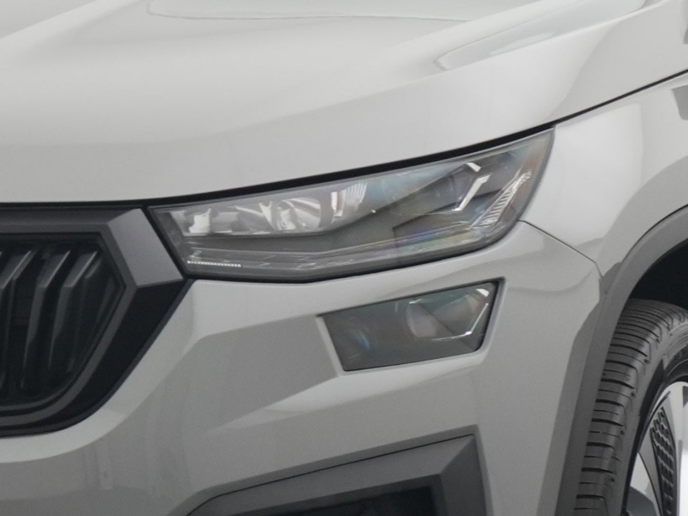 Foto van Skoda Kodiaq