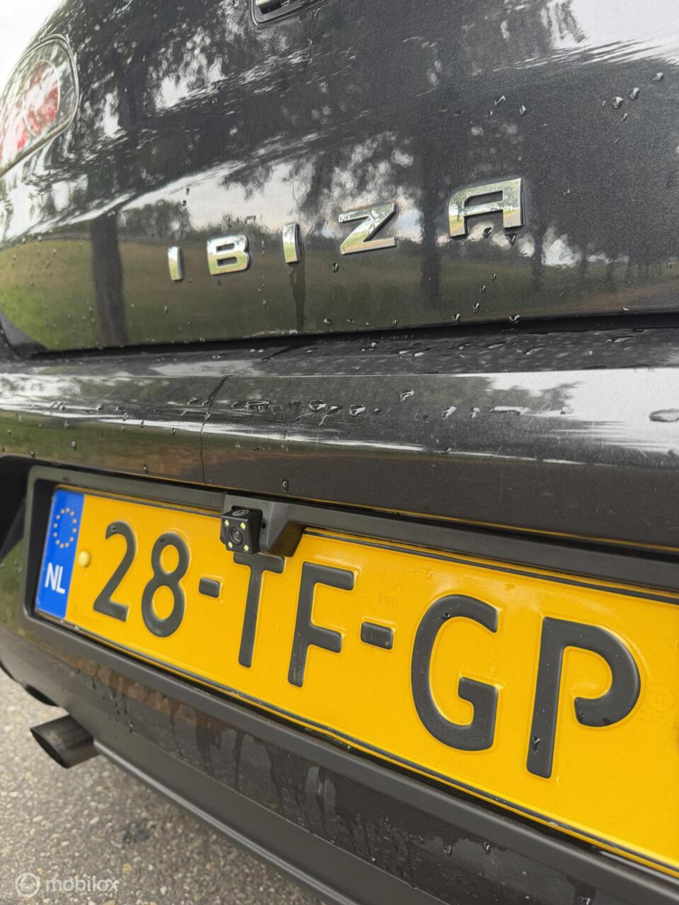 Foto van Seat Ibiza