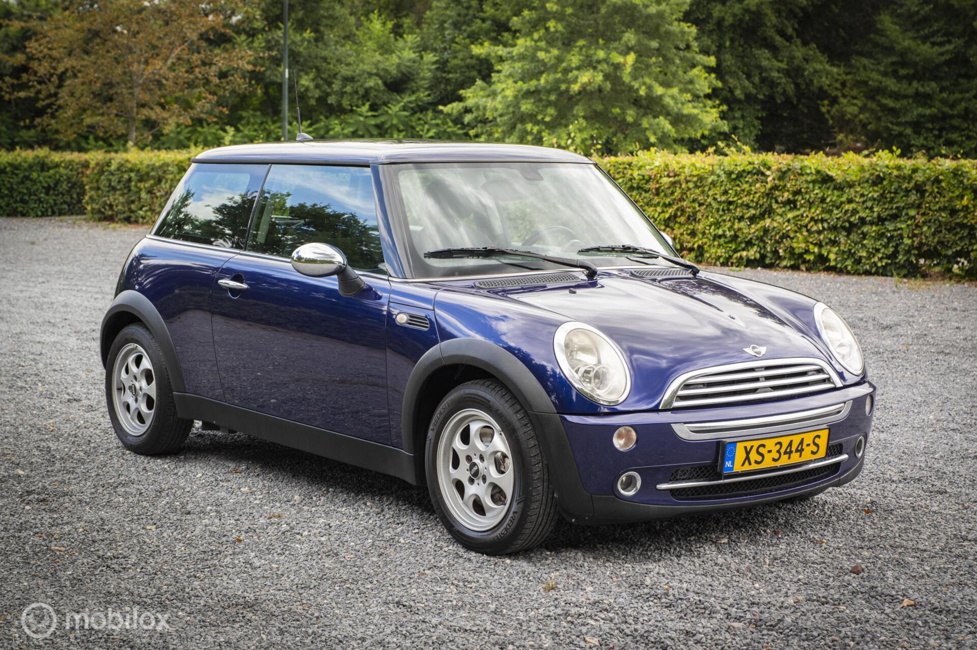 Foto van Mini Mini One