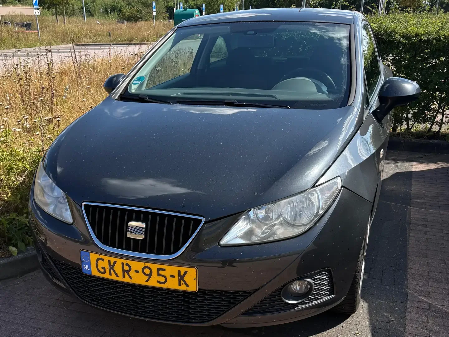 Inspectiefoto van Seat Ibiza