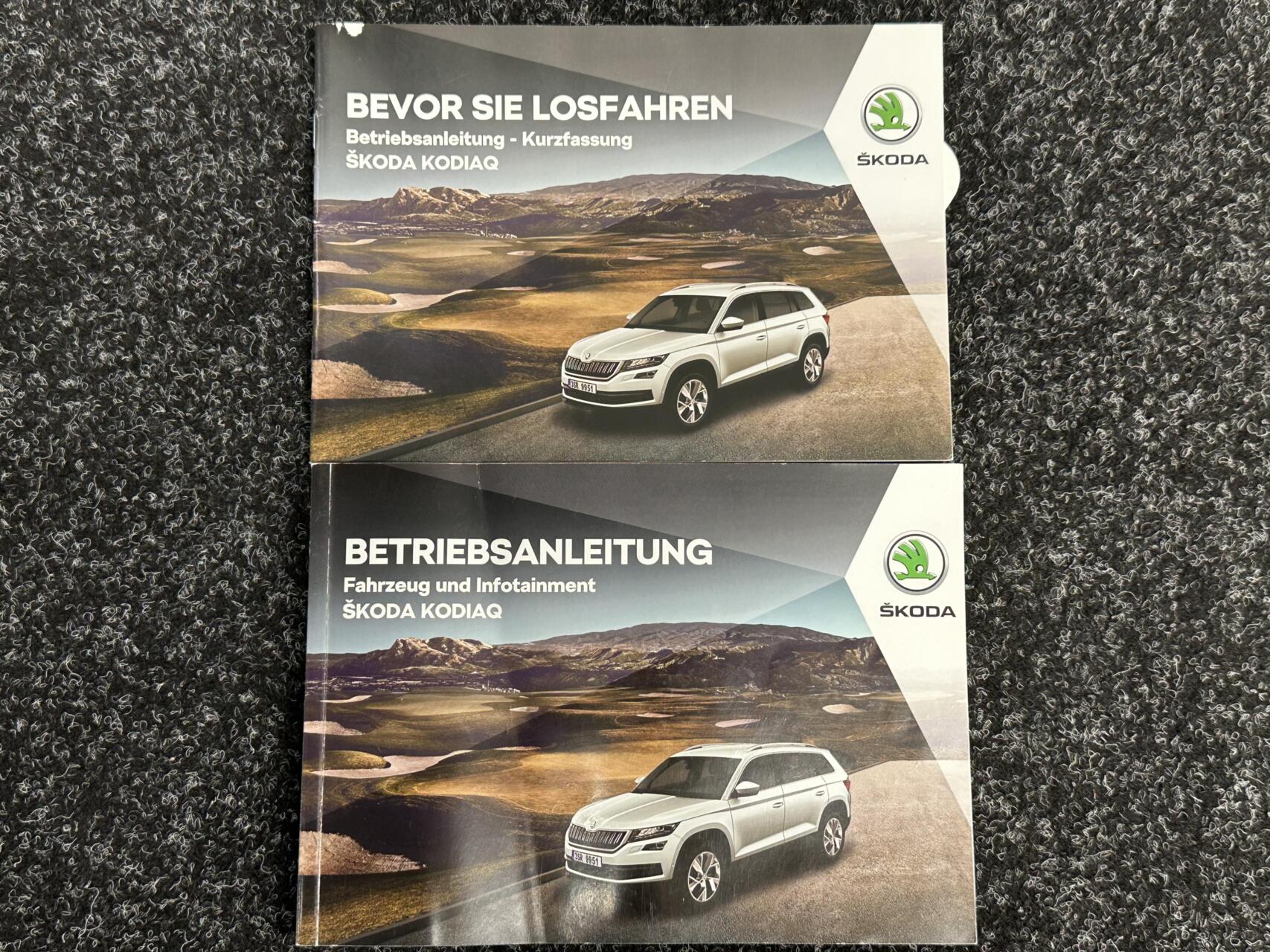 Foto van Skoda Kodiaq