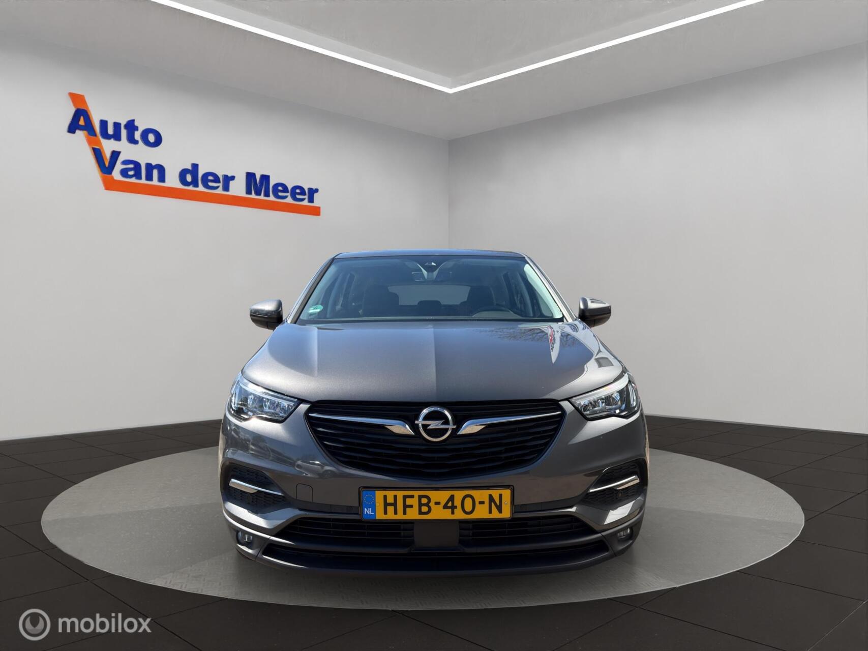 Foto van Opel Grandland X