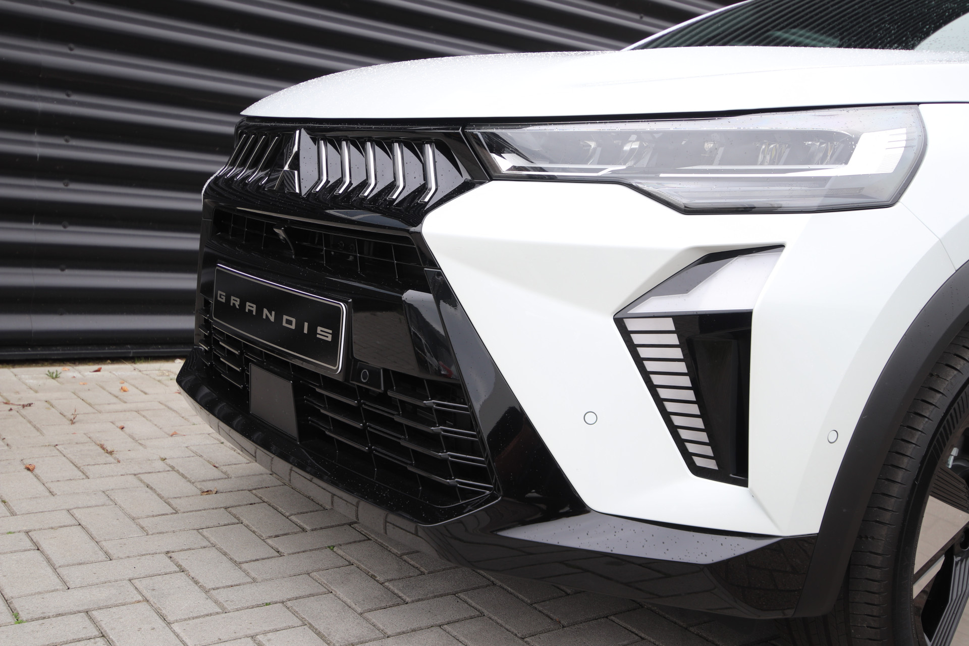 Foto van Mitsubishi Grandis