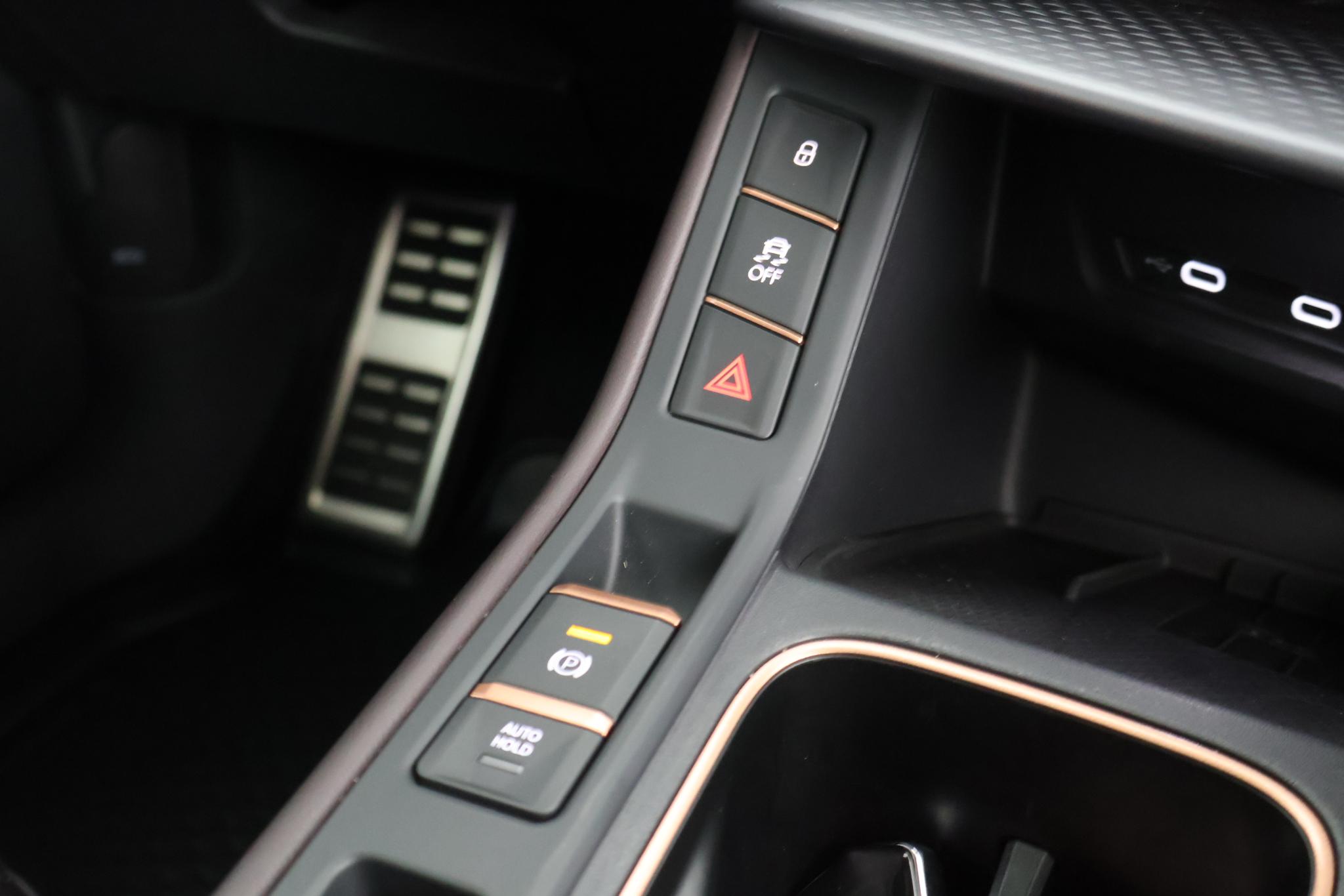 Foto van Cupra Terramar
