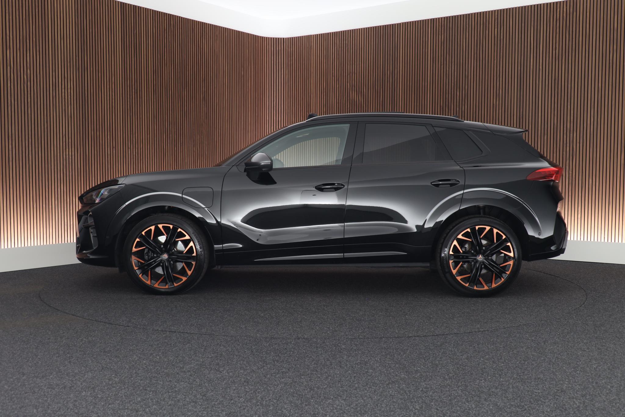 Foto van Cupra Terramar